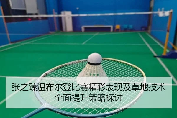 张之臻温布尔登比赛精彩表现及草地技术全面提升策略探讨