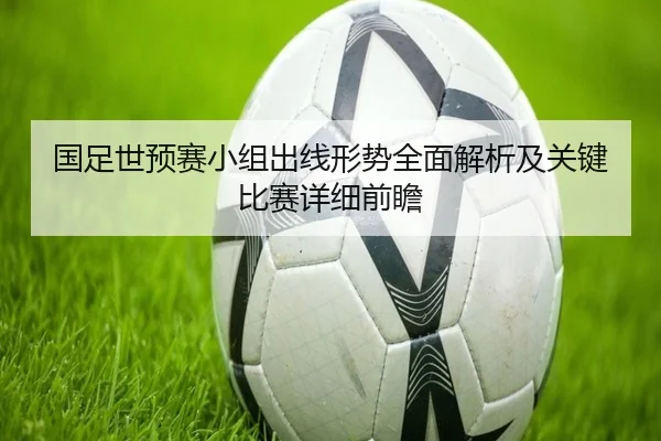国足世预赛小组出线形势全面解析及关键比赛详细前瞻
